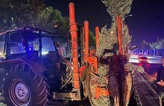 Hazardağlı Kavşağı’ndaki ağaçlar taşınarak...