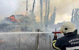 Hınıs’ta ot yangını