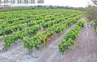 Hırsızlara karşı kurdurduğu güvenlik kamerasına...