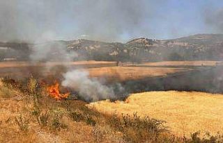 Hisarcık’ta biçerdöver kaynaklı yangında 2,5...