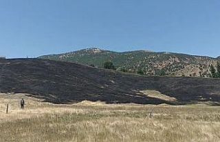 Hizan’da anız yangını, 40 dönüm arazi zarar...