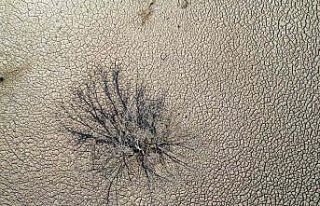 Hobi bahçelerinin kuyuları gölü kuruttu iddiası