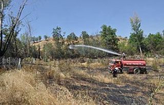 Hobi bahçesinde çıkan yangın 8 dönüm yulaf tarlasını...