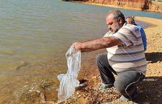Hüyük’te göletler balıklandırıldı
