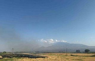 Iğdır’da çıkan anız yangını gün boyu sürdü