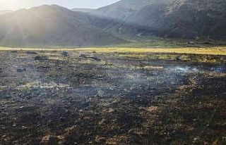 Iğdır’da tarla yangını: 250 ot balyası yandı
