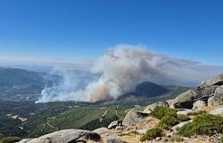 İspanya’da 3 farklı noktada orman yangını