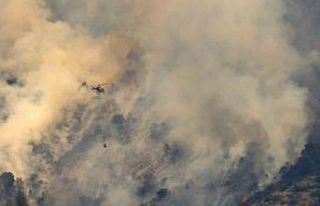 İspanya’da orman yangını: 2 bin 377 hektarlık...