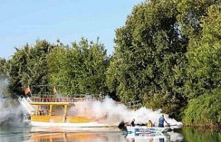 İstilacı tür olarak biliniyor, yumurtaları altı...