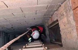 İtfaiyeden kedi kurtarma operasyonu