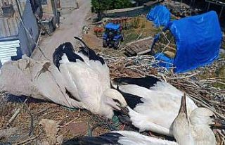 İtfaiyeden leyleğe uzanan şefkat eli