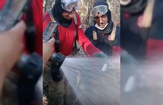 İzmir yangınında itfaiyeciler balığı kurtardı