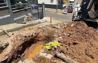 İzmir’de boşa akan su, domuzlara park oldu