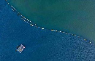 İzmit Körfezi’nde 170 hektar alan dip çamurundan...