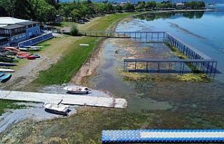 İznik Gölü’nde korkutan görüntü...En büyük...