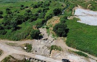 İznik’te kuraklık alarmı...Çakırca deresi kurudu,...