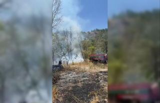 İznik’te orman yangını