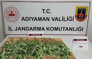 Jandarma ekipleri uyuşturucuya geçit vermiyor
