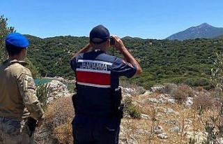 Jandarma orman nöbetinde