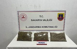 Jandarma uyuşturucuya geçit vermiyor: 1 tutuklama
