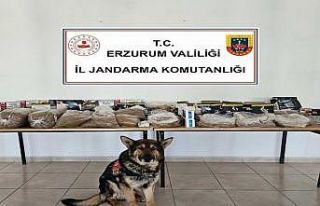 Jandarmadan kaçakçılara operasyon