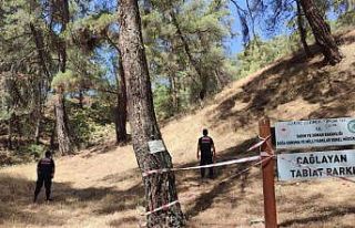 Jandarmadan ‘orman’ nöbeti