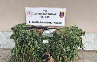 Jandarmadan uyuşturucu operasyonu: 2 gözaltı