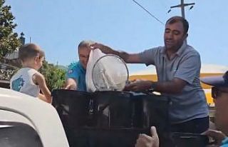 Kadın azmağına 35 bin levrek yavrusu bırakıldı