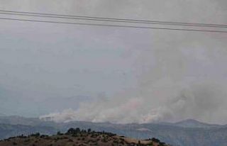 Kahramanmaraş’ta orman yangını