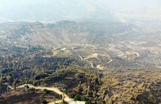 Kahramanmaraş’ta orman yangınına müdahale 3’üncü...