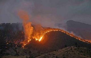 Kahramanmaraş’ta orman yangınına müdahale sürüyor