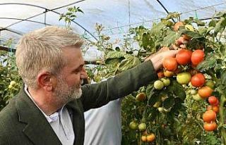 Kahramanmaraş’ta topraktan sofraya bereket zincirine...