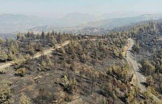 Kahramanmaraş’ta yangın sonrası küle dönen...