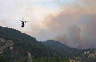 Kahramanmaraş’ta yangına havadan karadan müdahale...