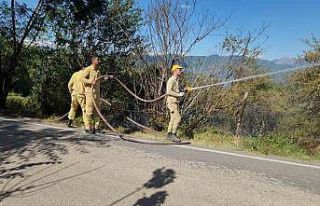 Kahramanmaraş’taki orman yangını söndürüldü