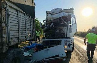 Kamyonundaki arızayı kontrol için inen sürücü...