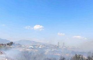 Kanal kenarında çıkan yangın rüzgarla geniş...