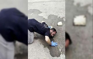 Kanala düşen yavru köpek için zamanla yarıştılar