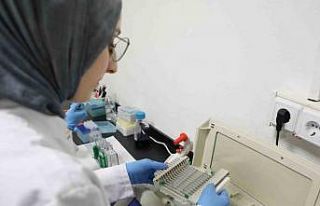 Kanseri önlemede yeni umut: kereviz tohumu