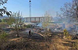 Karabük’te ikinci yangın: Evler ve seralar zarar...