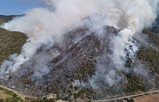 Karabük’te orman yangını