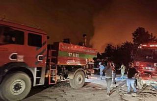 Karabük’te orman yangını büyüyor, iki mahalle...