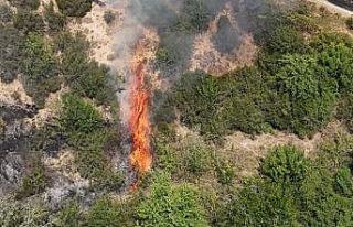 Karabük’te orman yangını kontrol altına alındı