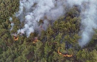 Karabük’te orman yangınına müdahale 6 saattir...