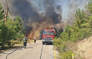 Karabük’te orman yangınında iki mahalle tahliye...