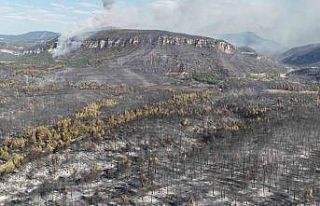 Karabük’te orman yangınlarındaki yürek burkan...