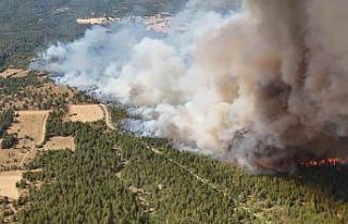 Karabük’te yangının çıktığı nokta dronla...