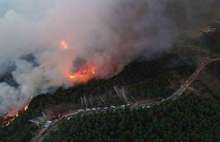 Karabük’te yeni orman yangını