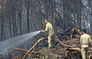 Karabük’teki orman yangınında 120. saate giriliyor
