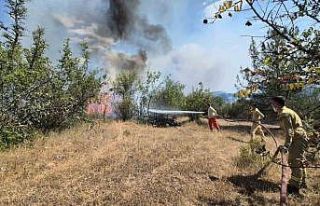 Karabük’teki orman yangınlarını söndürme çalışmaları...